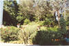 Particolare del giardino della Villa